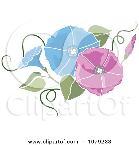 Morning Glory clipart #16, Download drawings