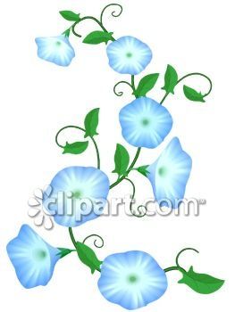 Morning Glory clipart #17, Download drawings