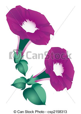 Morning Glory clipart #9, Download drawings