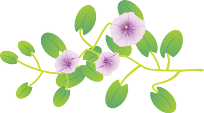 Morning Glory svg #14, Download drawings
