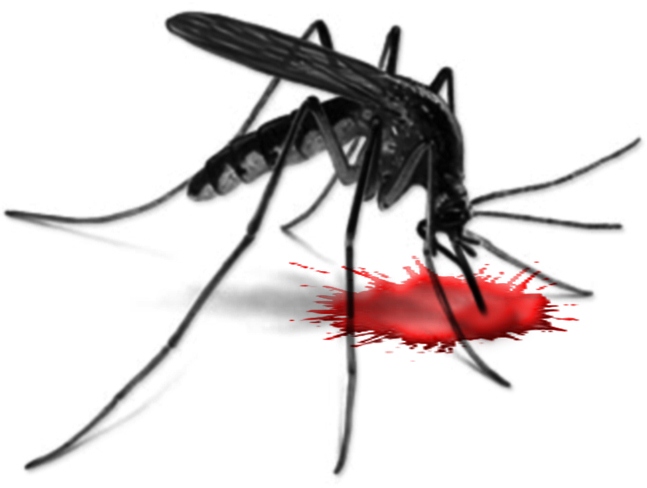 Mosquito clipart #10, Download drawings
