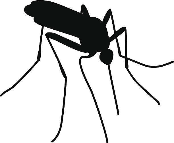 Mosquito clipart #2, Download drawings