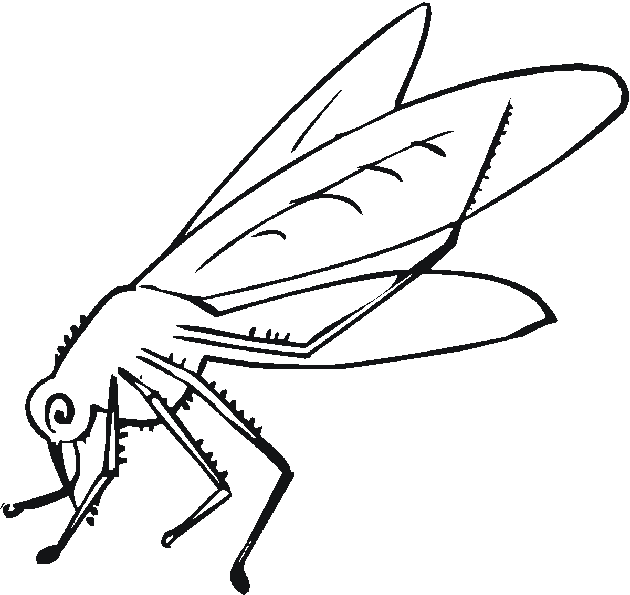 Mosquito coloring #6, Download drawings
