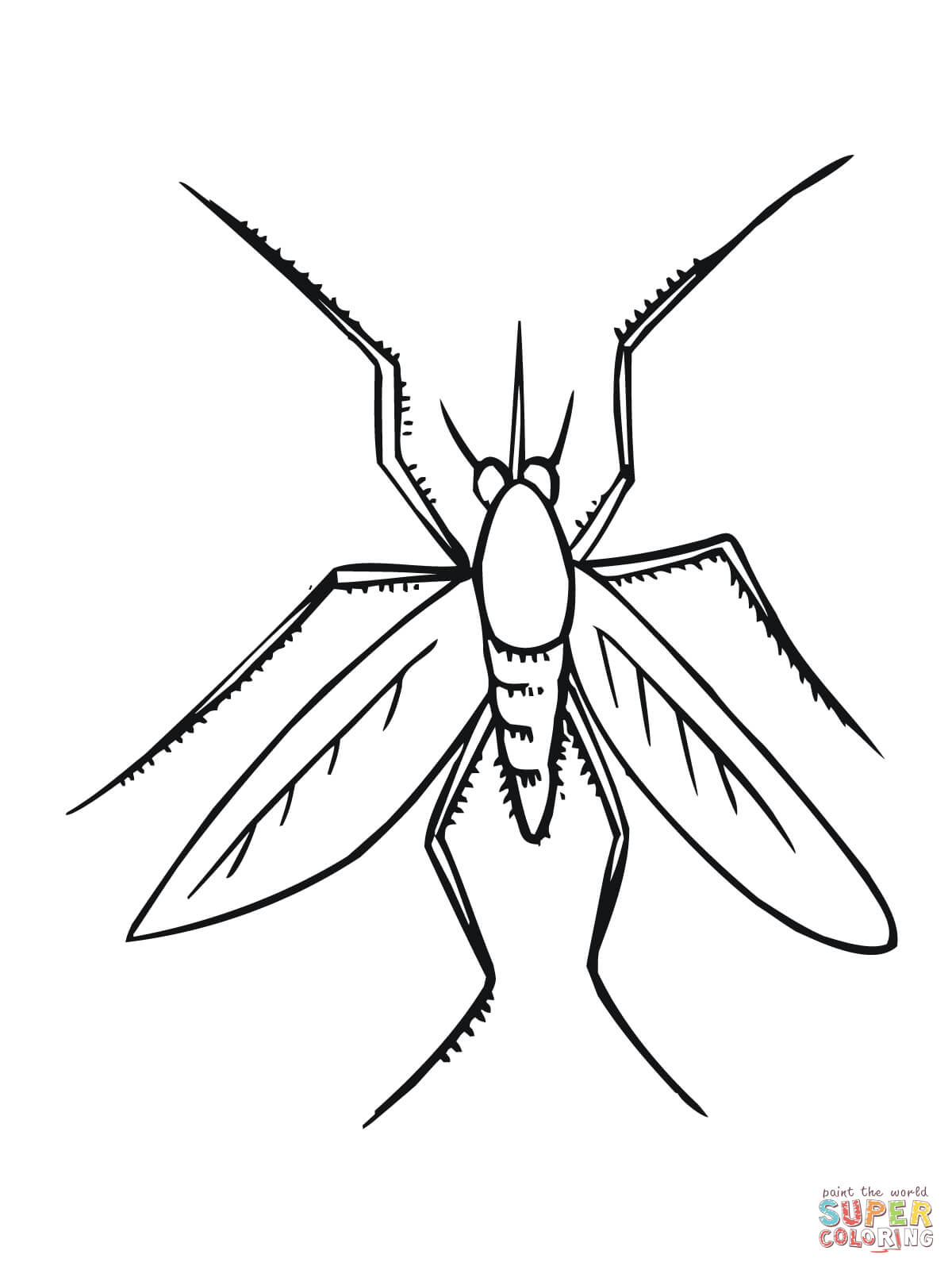 Mosquito coloring #4, Download drawings