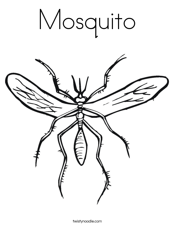 Mosquito coloring #13, Download drawings