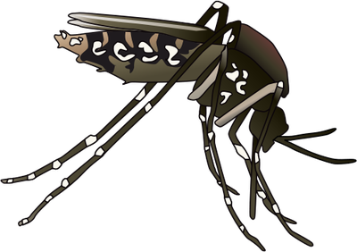 Mosquito svg #16, Download drawings