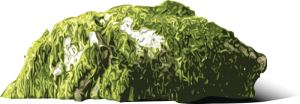 Moss clipart #15, Download drawings