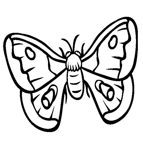Pindi Moth coloring #17, Download drawings