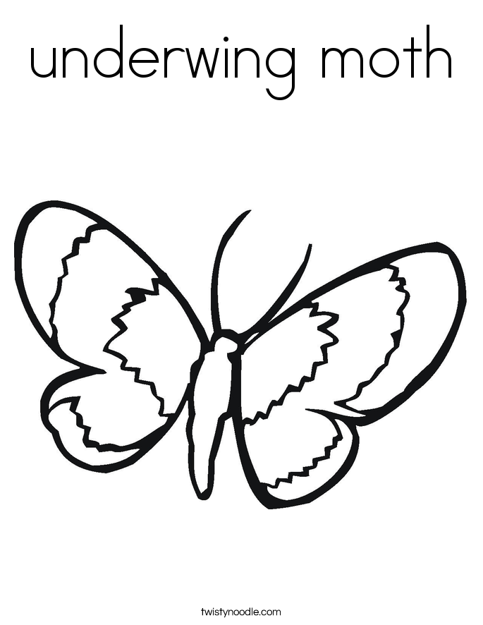 Moth coloring #8, Download drawings