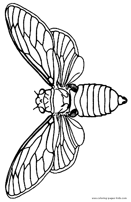 Moth coloring #16, Download drawings