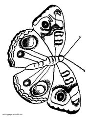 Moth coloring #7, Download drawings