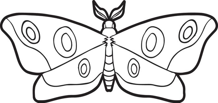 Moth coloring #2, Download drawings