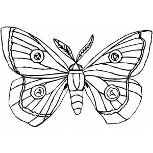 Silk Moth coloring #3, Download drawings