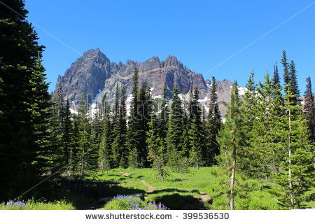 Mount Three Fingered Jack clipart #19, Download drawings