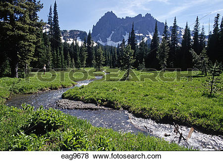 Mount Three Fingered Jack clipart #18, Download drawings