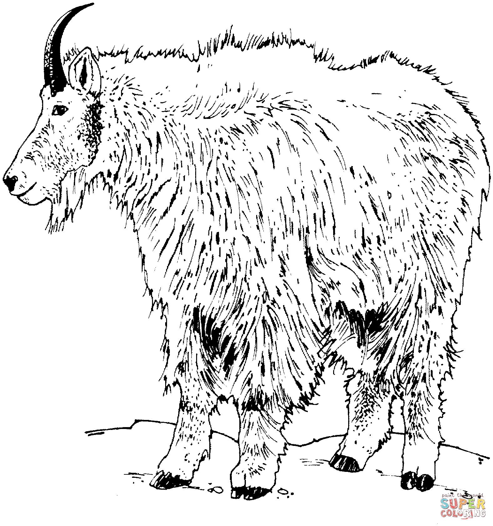 Mountain Goat coloring #5, Download drawings