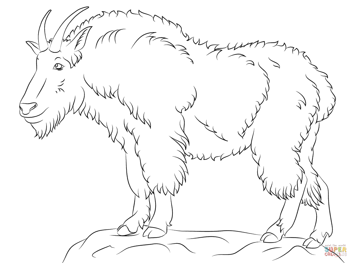 Mountain Goat coloring #8, Download drawings