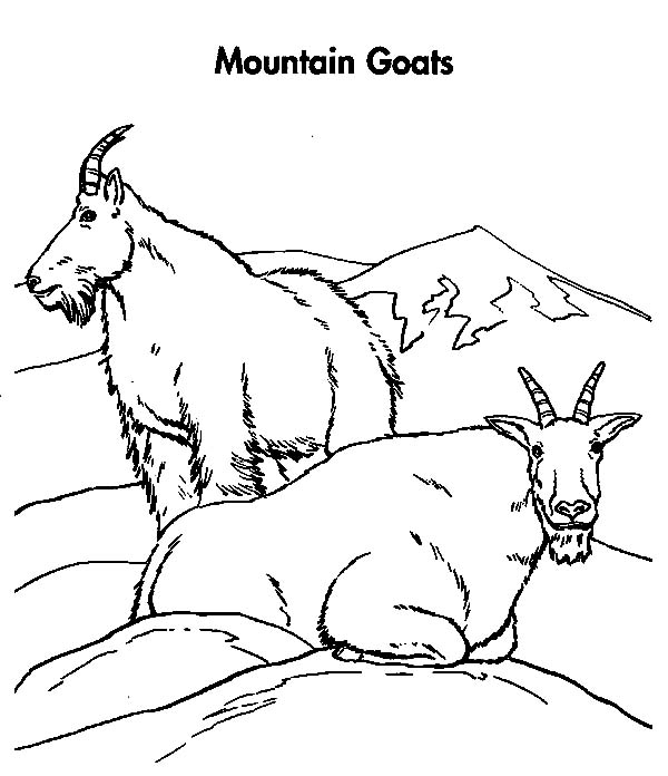 Mountain Goat coloring #13, Download drawings