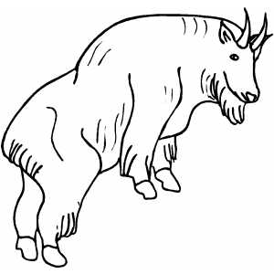 Mountain Goat coloring #9, Download drawings