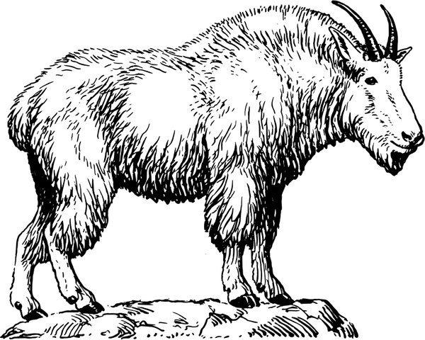 Mountain Goat svg #19, Download drawings