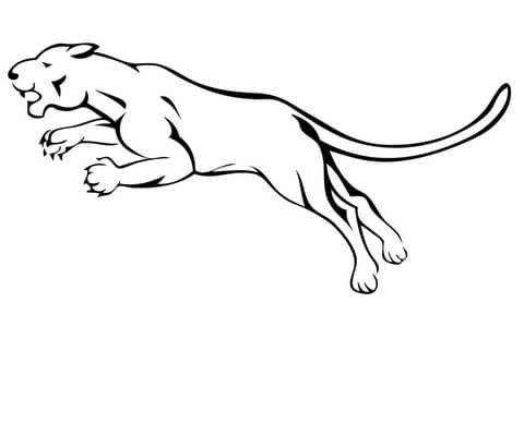 Mountain Lion coloring #18, Download drawings