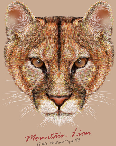 Mountain Lion svg #11, Download drawings