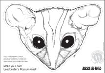 Mountain Pygmy Possum coloring #15, Download drawings