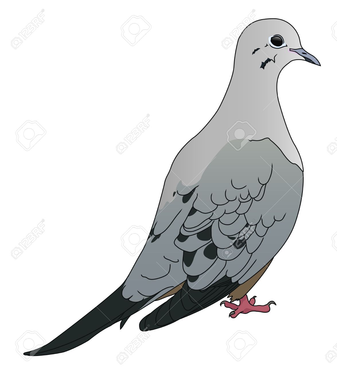 Mourning Dove clipart #3, Download drawings