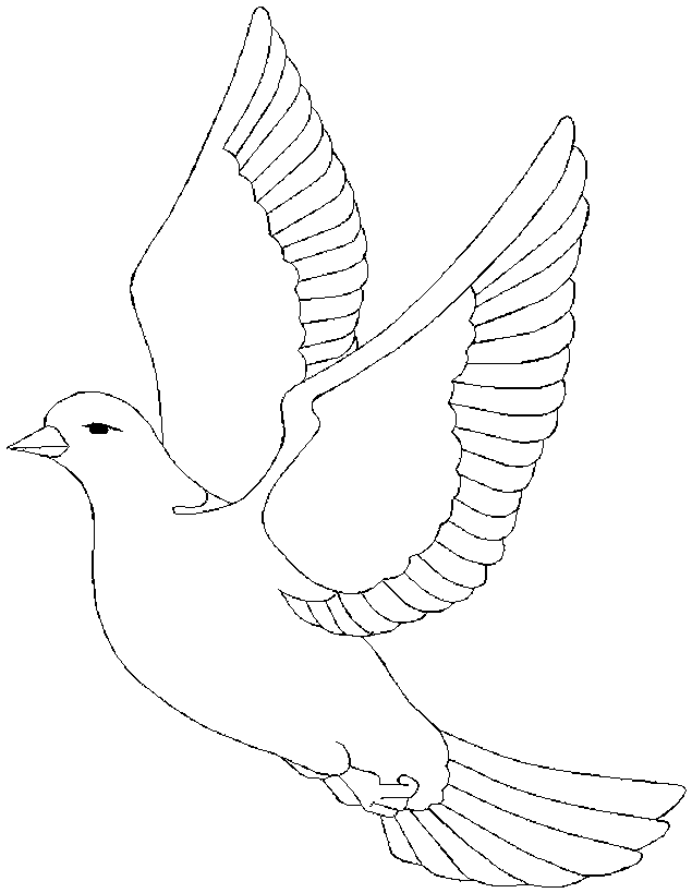 Mourning Dove coloring #10, Download drawings