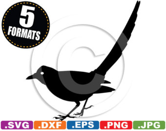 Magpie svg #5, Download drawings