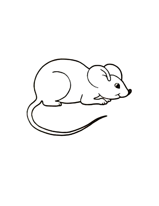 Mouse coloring #16, Download drawings