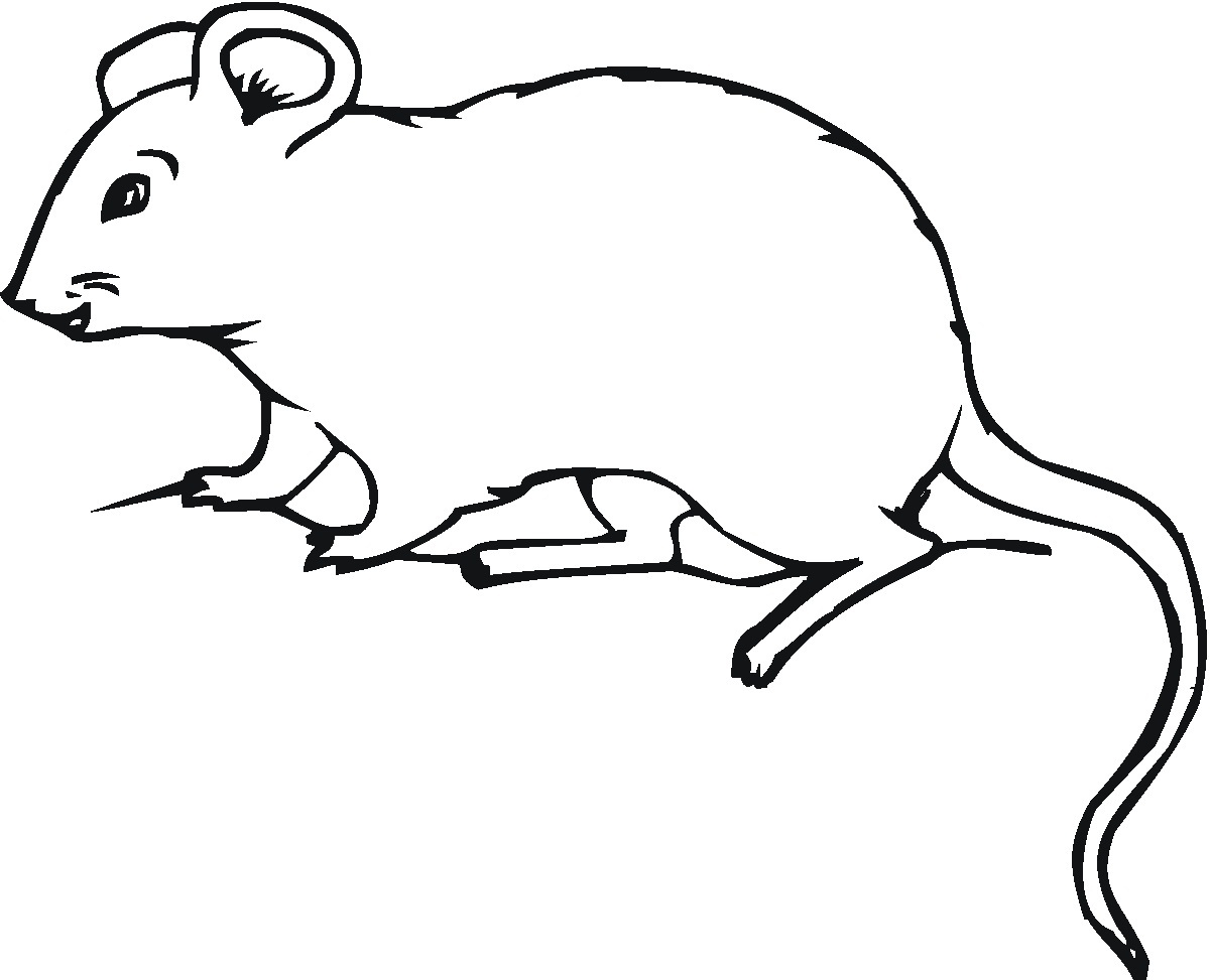 Mouse coloring #10, Download drawings