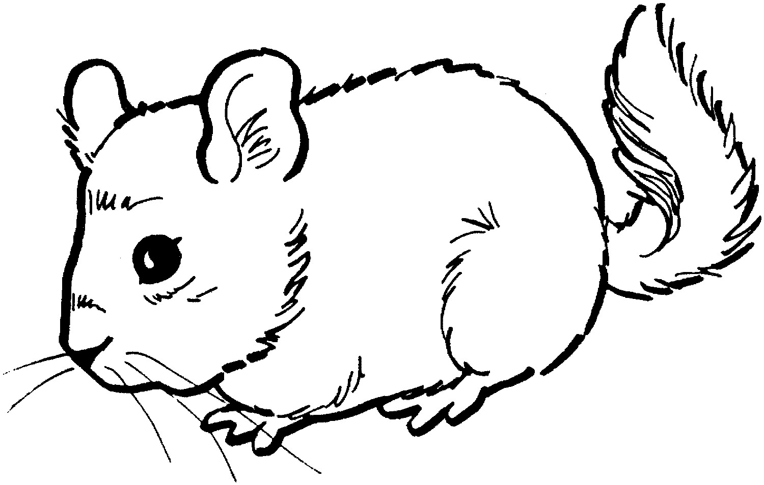 Mouse coloring #3, Download drawings