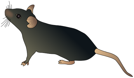 Mouse svg #1, Download drawings
