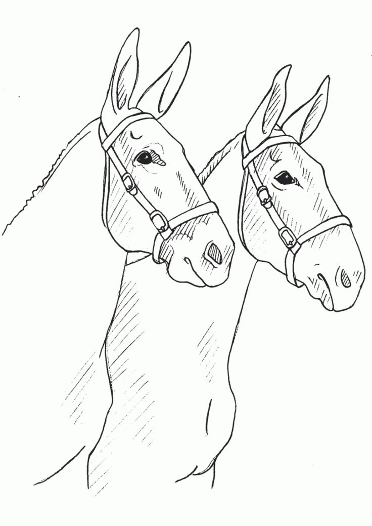 Mule coloring #12, Download drawings