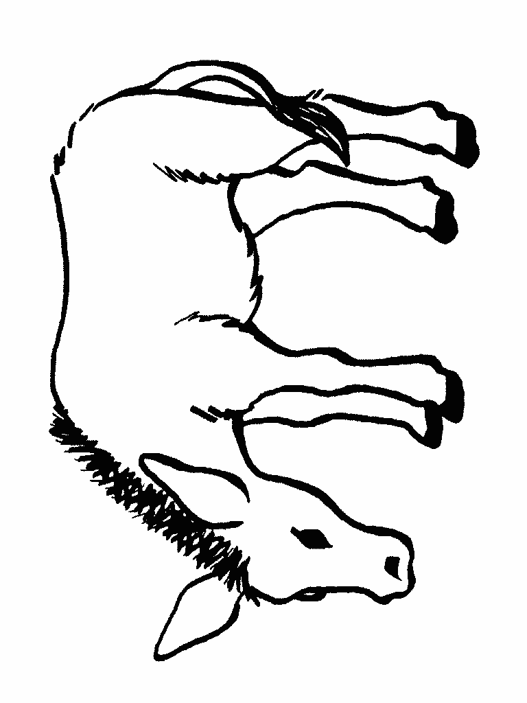 Mule coloring #6, Download drawings