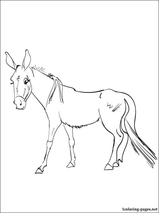 Mule coloring #10, Download drawings