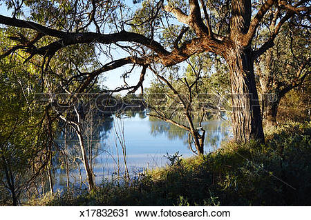Murray River clipart #18, Download drawings