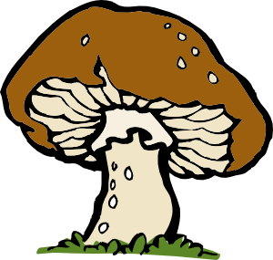 Mushroom clipart #11, Download drawings