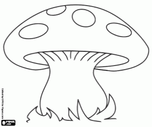 Mushroom coloring #15, Download drawings