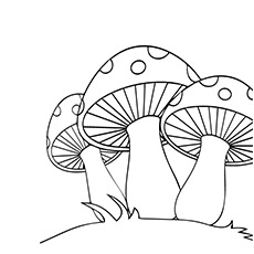 Mushroom coloring #10, Download drawings