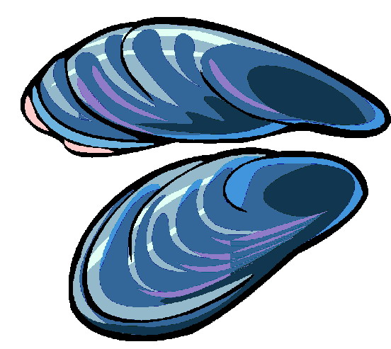 Mussel clipart #20, Download drawings