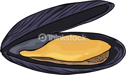 Mussel clipart #11, Download drawings