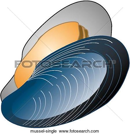 Mussel clipart #16, Download drawings
