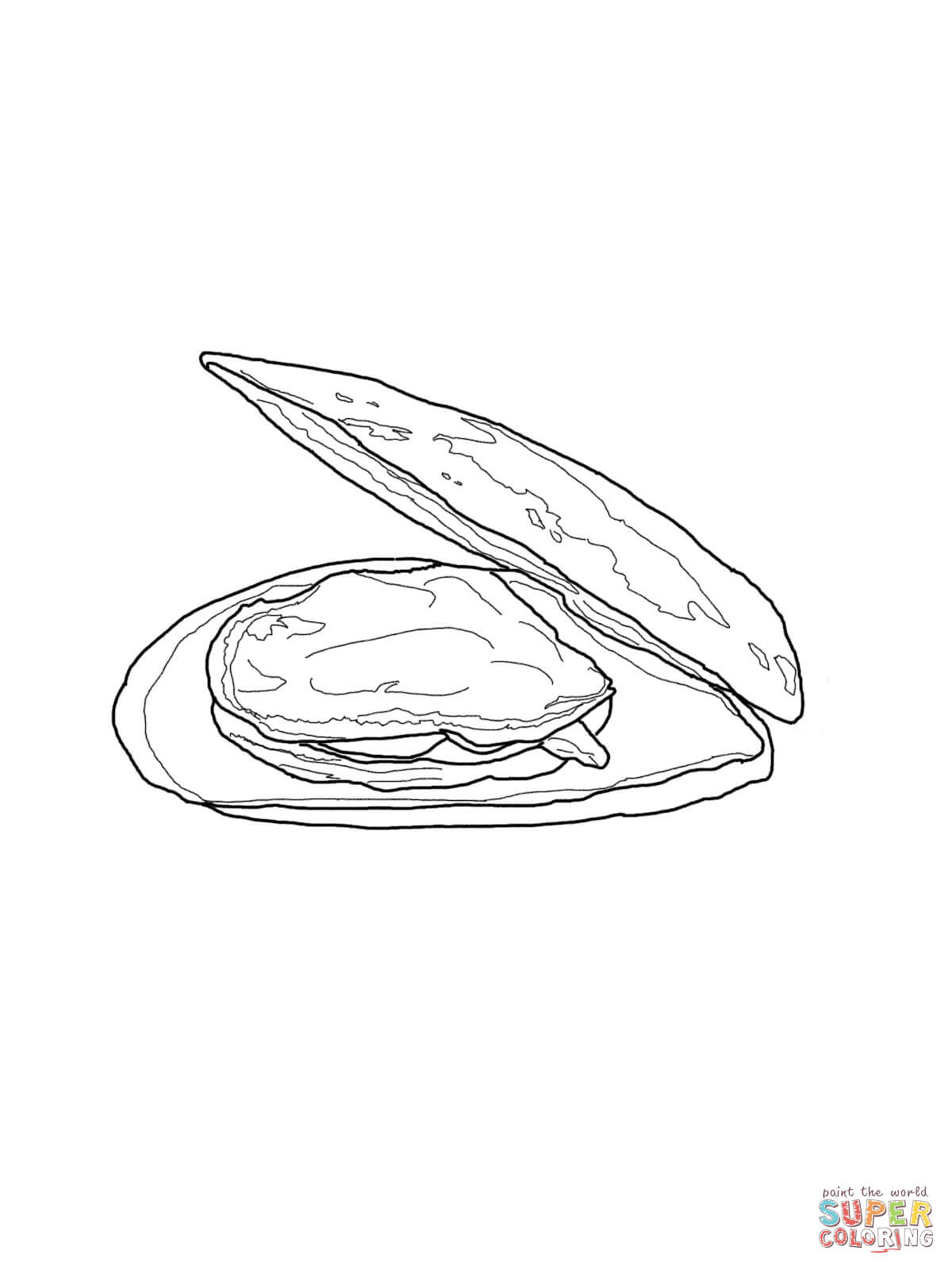 Mussel coloring #13, Download drawings