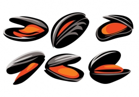 Mussel svg #1, Download drawings