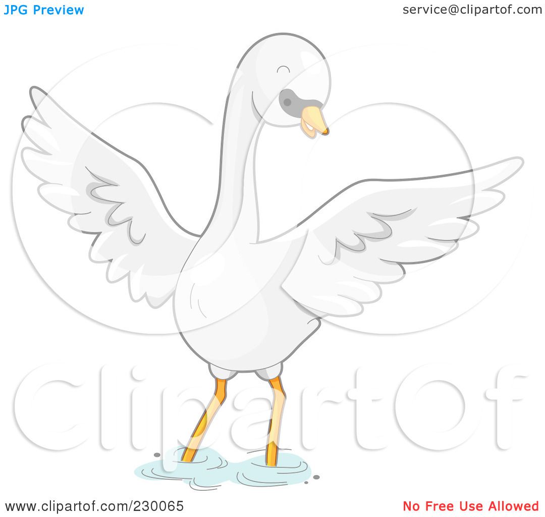 Mute Swan clipart #5, Download drawings