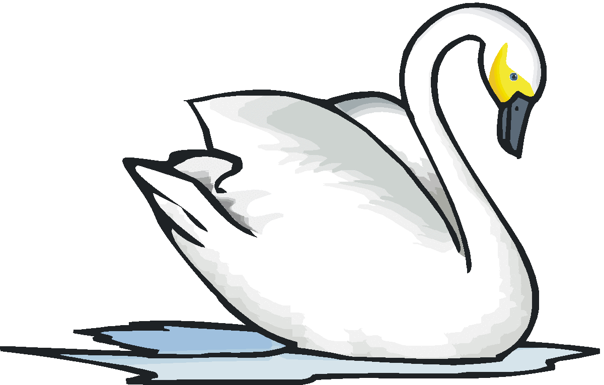 Mute Swan clipart #3, Download drawings