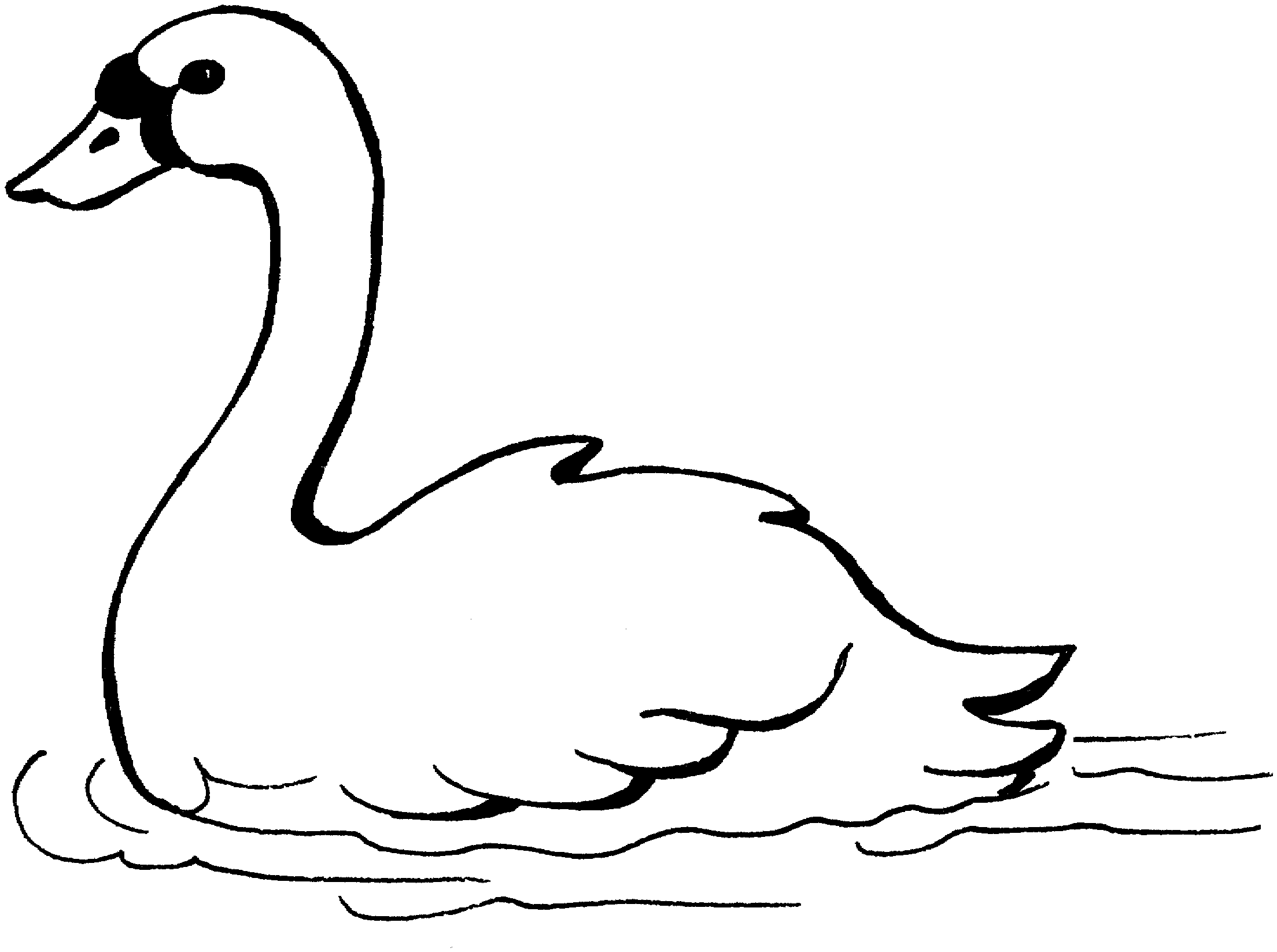 Swan coloring #16, Download drawings