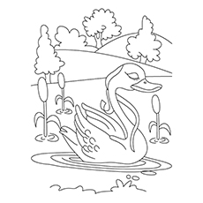 Mute Swan coloring #10, Download drawings